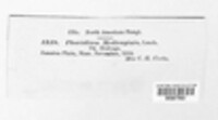 Pseudopeziza medicaginis image